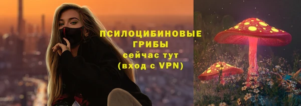 spice Алзамай