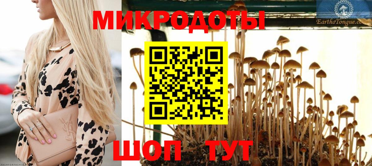 Галлюциногенные грибы мухоморы Усть-Илимск